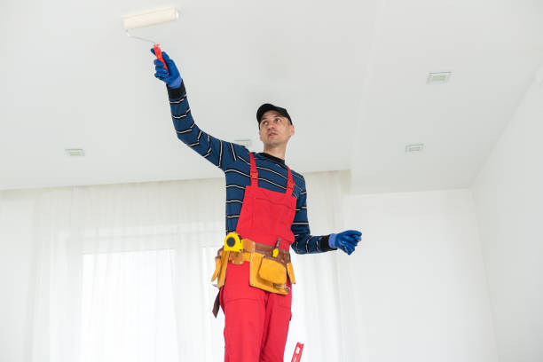 Best Mold Odor Removal Services  in Point Roberts, WA