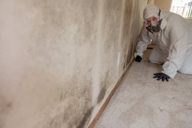 Best Mold Remediation for Healthcare Facilities  in Point Roberts, WA